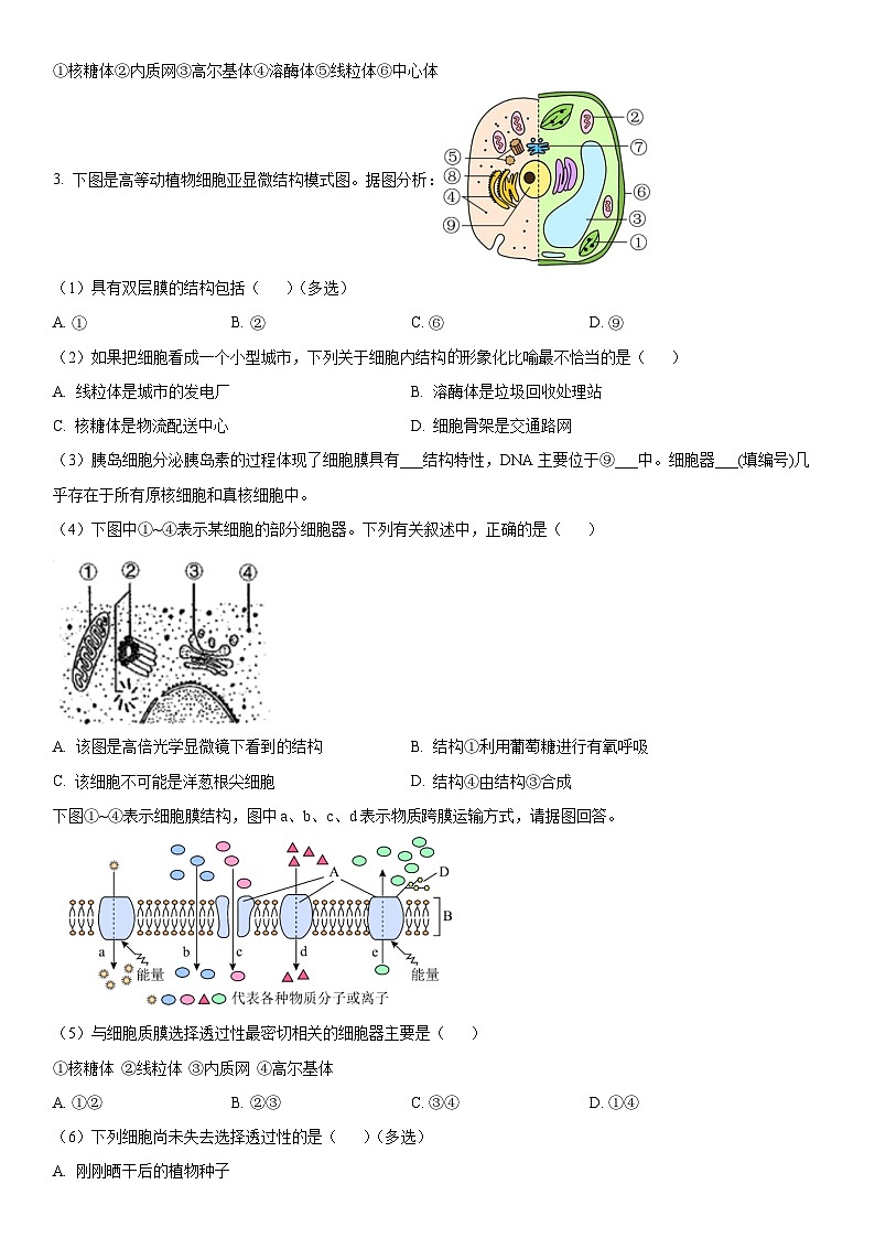 2023年上海高中生物学业水平合格性考试模拟卷2含详解第3页