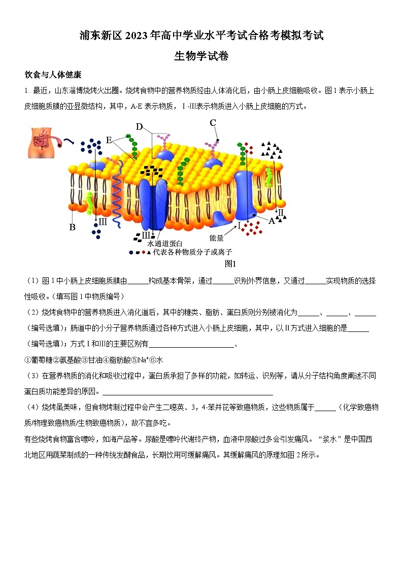 上海市浦东新区2023年高中学业水平考试合格考模拟考试生物试卷含详解01