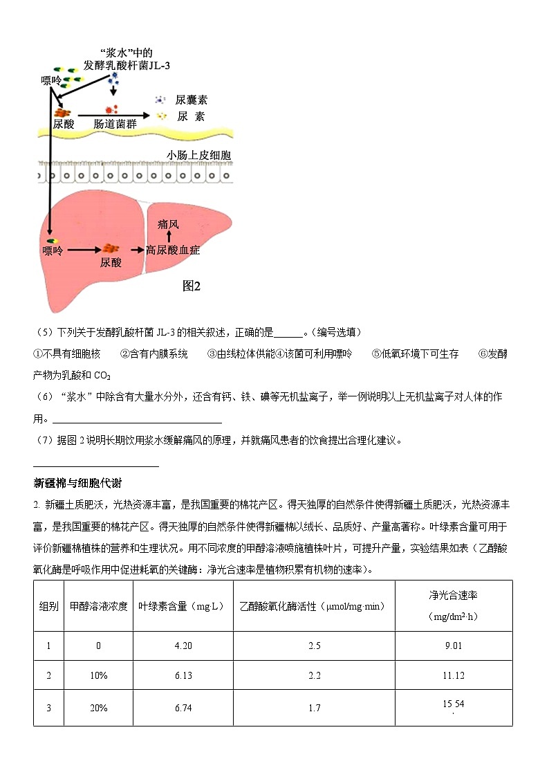 上海市浦东新区2023年高中学业水平考试合格考模拟考试生物试卷含详解02