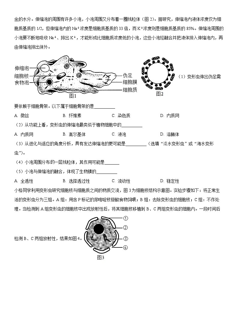 2022-2023学年上海市黄浦区格致中学高二下学期期末考试生物试卷含详解02