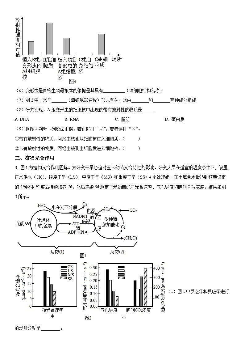 2022-2023学年上海市黄浦区格致中学高二下学期期末考试生物试卷含详解03