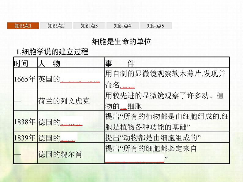 高中生物学考复习专题第一单元细胞的分子组成与结构2细胞的结构课件第4页