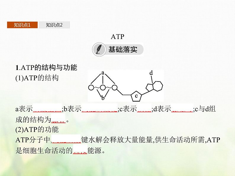 高中生物学考复习专题第二单元细胞的代谢3ATP与酶课件第3页