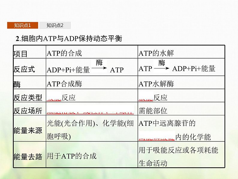 高中生物学考复习专题第二单元细胞的代谢3ATP与酶课件第4页