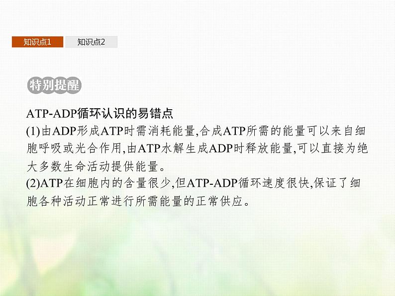 高中生物学考复习专题第二单元细胞的代谢3ATP与酶课件第5页