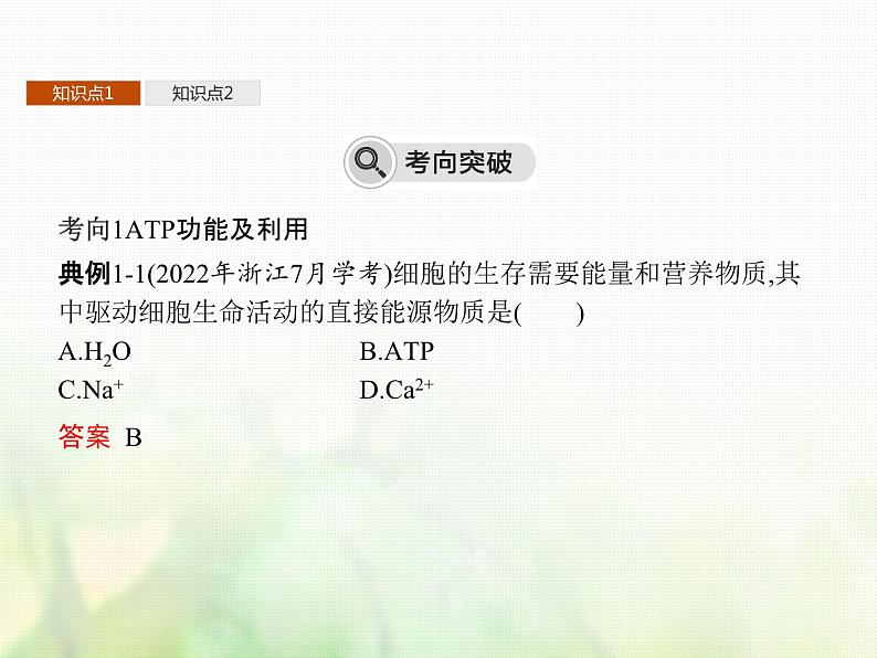 高中生物学考复习专题第二单元细胞的代谢3ATP与酶课件第6页