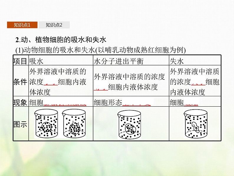 高中生物学考复习专题第二单元细胞的代谢4物质出入细胞的方式课件04