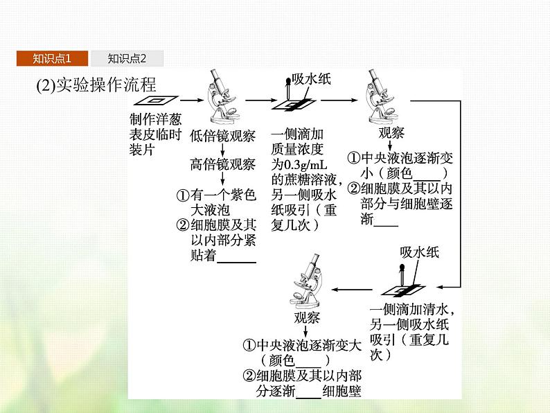 高中生物学考复习专题第二单元细胞的代谢4物质出入细胞的方式课件07