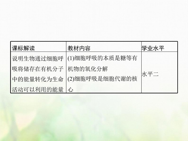 高中生物学考复习专题第二单元细胞的代谢5细胞呼吸课件第2页