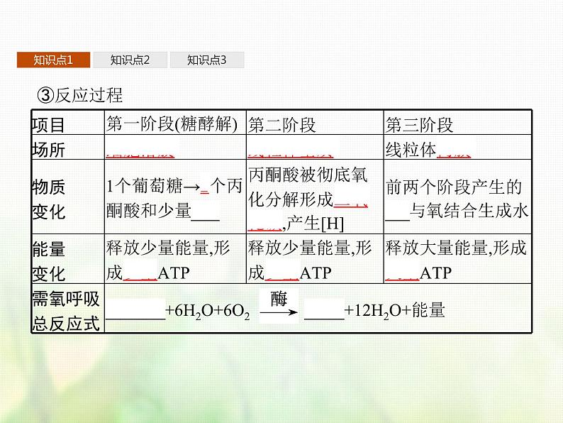 高中生物学考复习专题第二单元细胞的代谢5细胞呼吸课件第5页