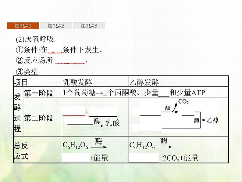 高中生物学考复习专题第二单元细胞的代谢5细胞呼吸课件第6页