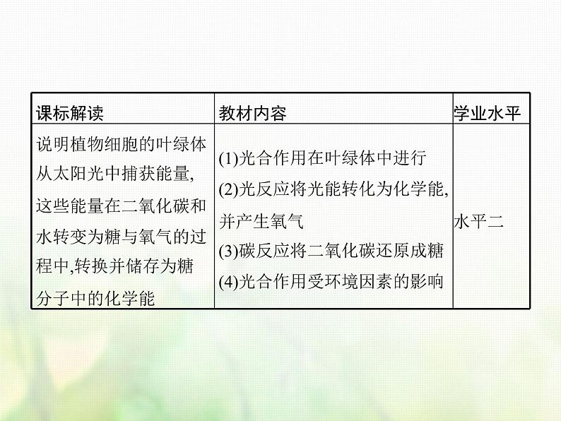 高中生物学考复习专题第二单元细胞的代谢6光合作用课件第2页