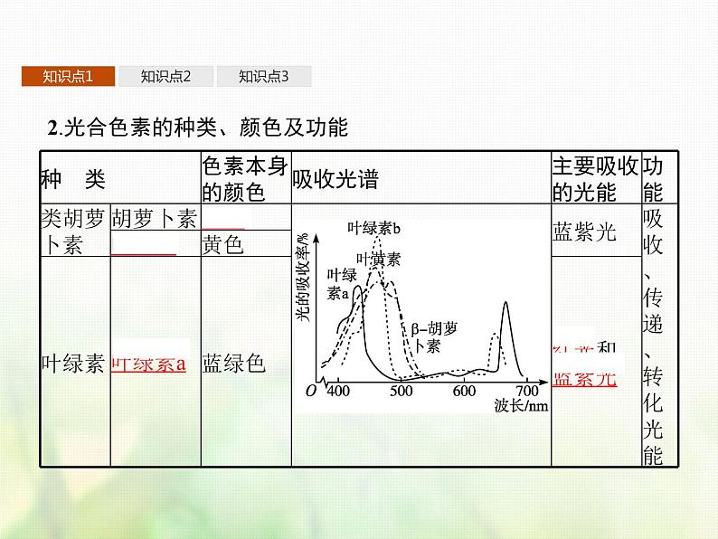 高中生物学考复习专题第二单元细胞的代谢6光合作用课件第5页