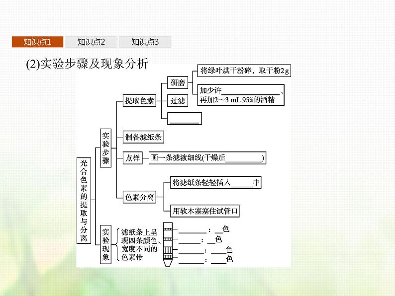 高中生物学考复习专题第二单元细胞的代谢6光合作用课件第7页