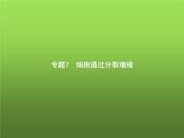 高中生物学考复习专题第三单元细胞的生命历程7细胞通过分裂增殖课件