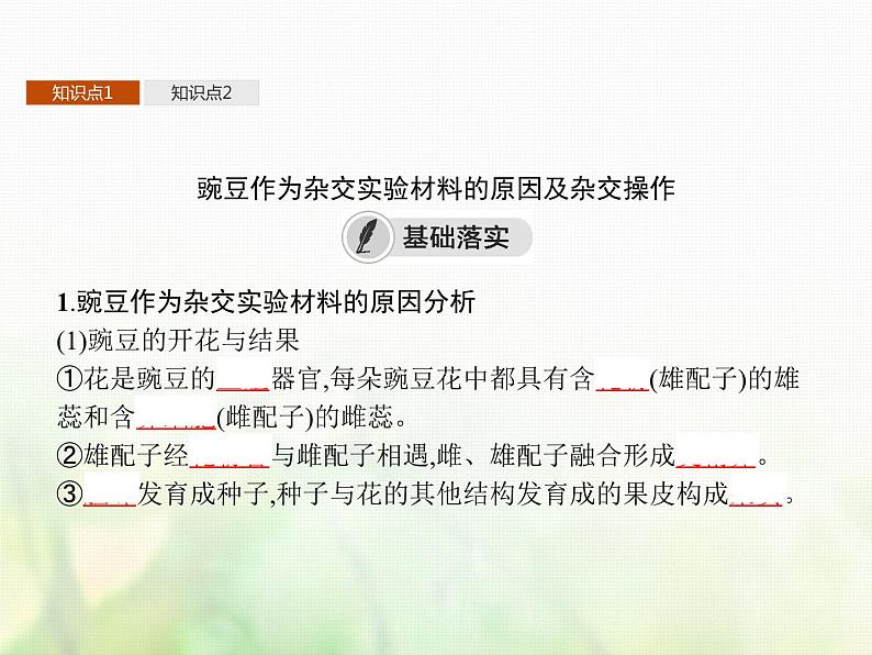 高中生物学考复习专题第四单元遗传的基本规律9分离定律课件第3页