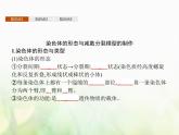 高中生物学考复习专题第五单元染色体与遗传11减数分裂与受精作用课件