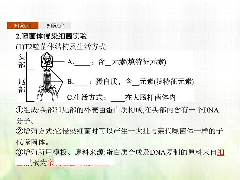 高中生物学考复习专题第六单元遗传的分子基础13核酸是遗传物质课件第4页