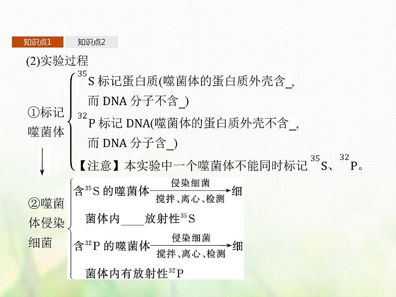 高中生物学考复习专题第六单元遗传的分子基础13核酸是遗传物质课件第5页