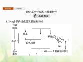 高中生物学考复习专题第六单元遗传的分子基础14DNA的分子结构与复制课件