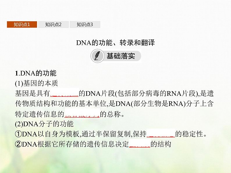 高中生物学考复习专题第六单元遗传的分子基础15基因控制蛋白质合成与表观遗传课件03