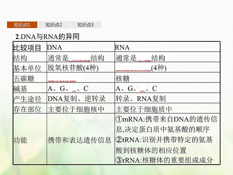 高中生物学考复习专题第六单元遗传的分子基础15基因控制蛋白质合成与表观遗传课件04