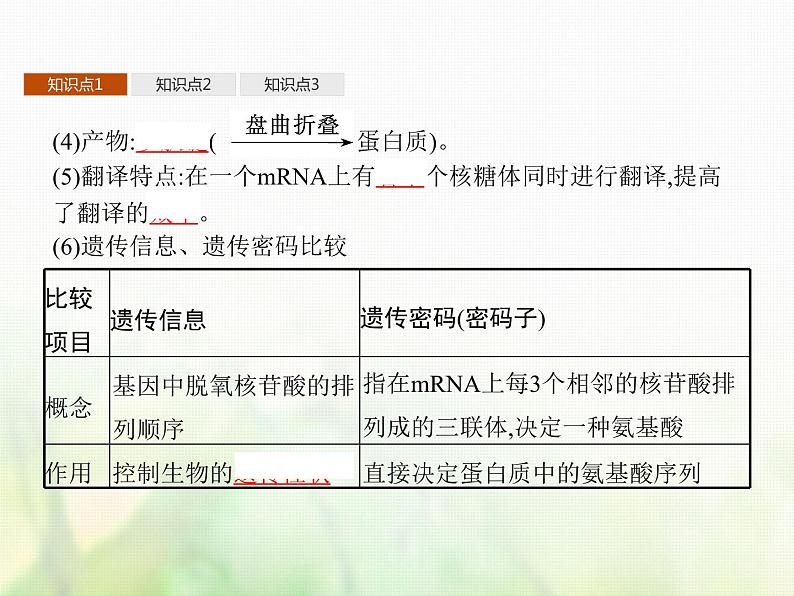 高中生物学考复习专题第六单元遗传的分子基础15基因控制蛋白质合成与表观遗传课件07