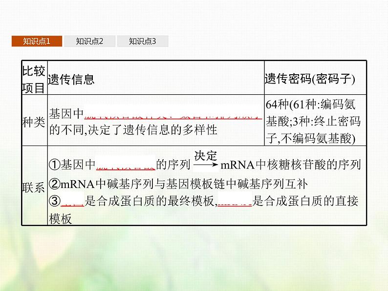 高中生物学考复习专题第六单元遗传的分子基础15基因控制蛋白质合成与表观遗传课件08