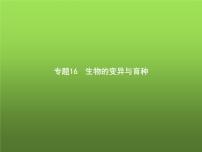 高中生物学考复习专题第七单元生物的变异与进化16生物的变异与育种课件