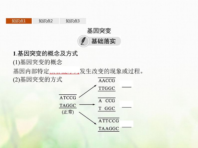 高中生物学考复习专题第七单元生物的变异与进化16生物的变异与育种课件第4页