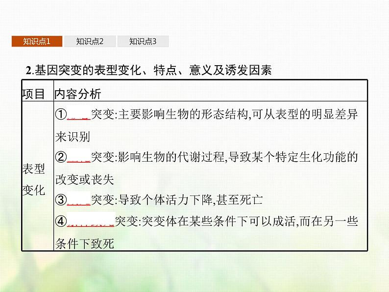 高中生物学考复习专题第七单元生物的变异与进化16生物的变异与育种课件第5页