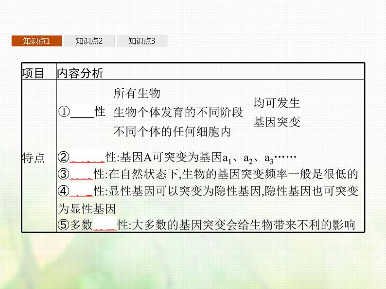 高中生物学考复习专题第七单元生物的变异与进化16生物的变异与育种课件第6页