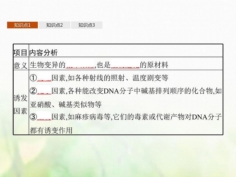 高中生物学考复习专题第七单元生物的变异与进化16生物的变异与育种课件第7页