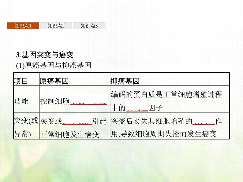 高中生物学考复习专题第七单元生物的变异与进化16生物的变异与育种课件第8页