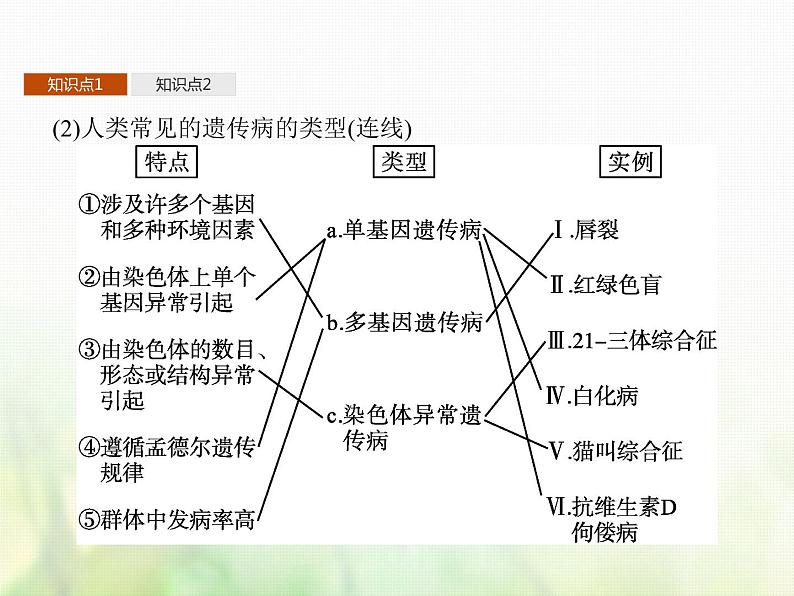 高中生物学考复习专题第七单元生物的变异与进化17生物变异与遗传病课件第4页