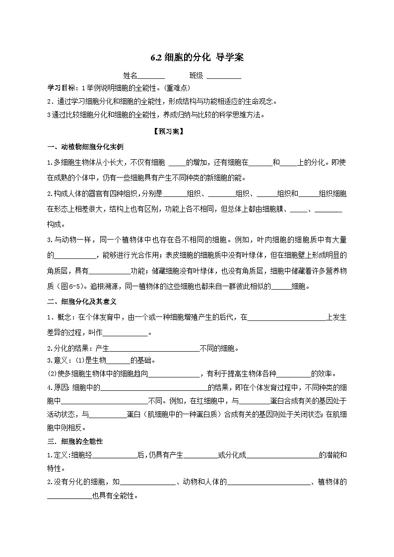 高中生物人教版2019 必修1 6.2细胞的分化  导学案（无答案）01