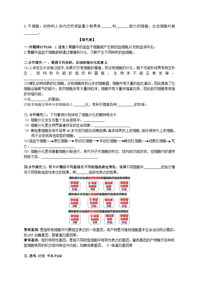 高中生物人教版2019 必修1 6.2细胞的分化  导学案（无答案）02