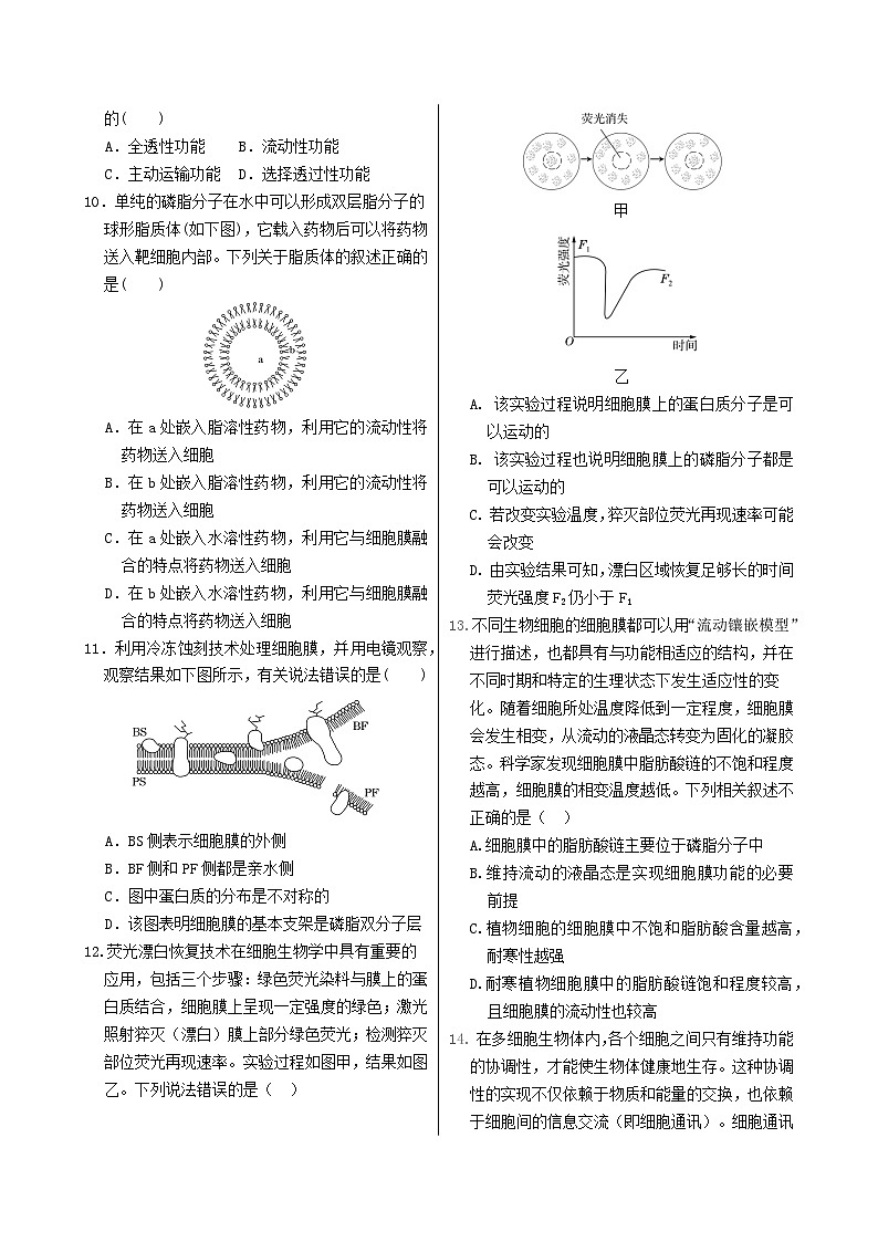 高中生物人教版2019 必修1 3.1细胞膜的结构和功能同步练习（有答案）第2页