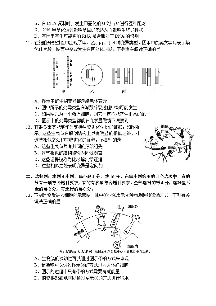 湖南省张家界市2022-2023学年高一生物下学期期末考试试题（Word版附答案）第3页