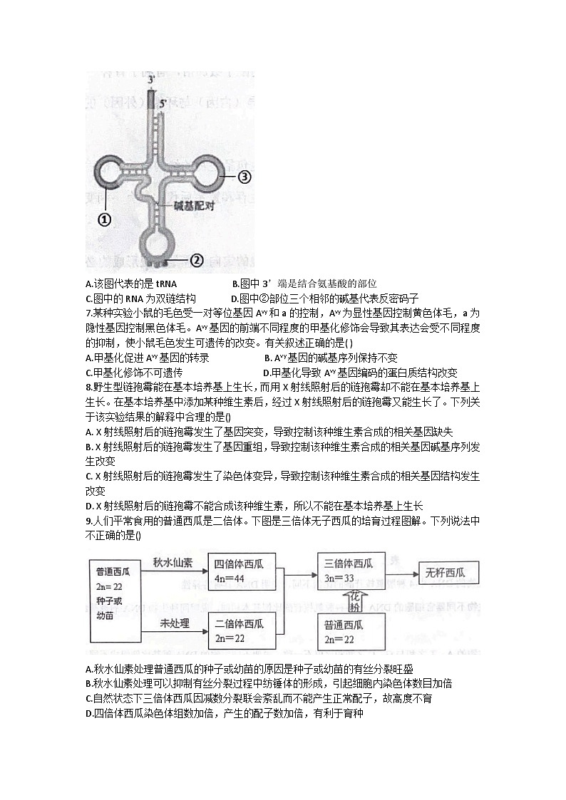 湖南省长沙市雅礼中学2022-2023学年高一生物下学期期末考试试题（Word版附答案）03