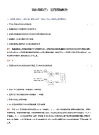 2024届人教版高考生物一轮复习蛋白质和核酸作业（不定项）含答案