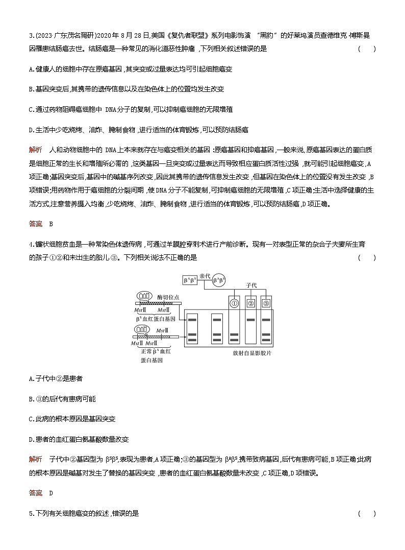 2024届人教版高考生物一轮复习基因突变和基因重组作业（不定项）含答案第2页