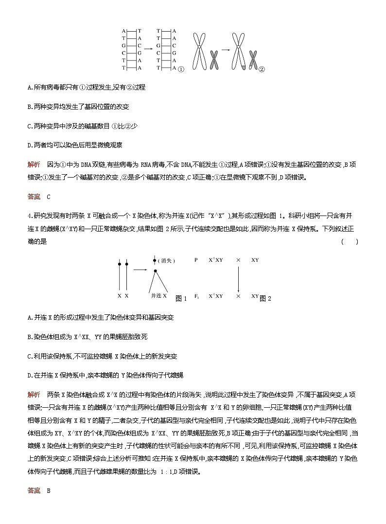2024届人教版高考生物一轮复习染色体变异与生物育种作业（不定项）含答案第2页