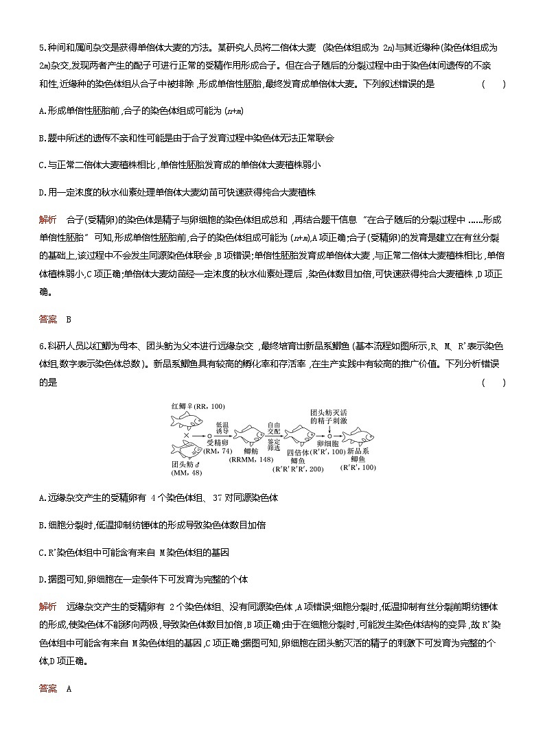 2024届人教版高考生物一轮复习染色体变异与生物育种作业（不定项）含答案第3页