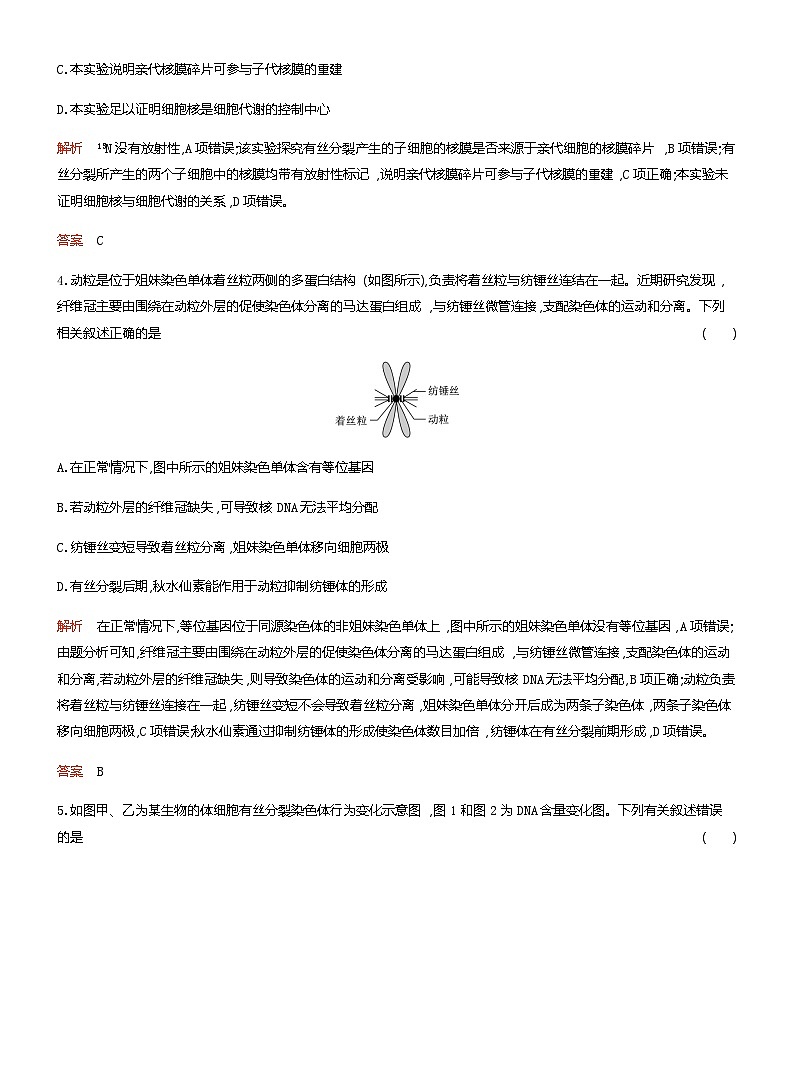 2024届人教版高考生物一轮复习细胞的增殖作业（不定项）含答案第2页