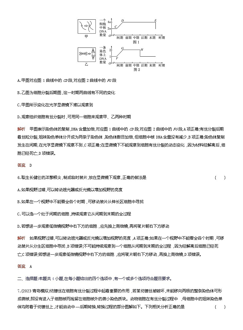 2024届人教版高考生物一轮复习细胞的增殖作业（不定项）含答案第3页