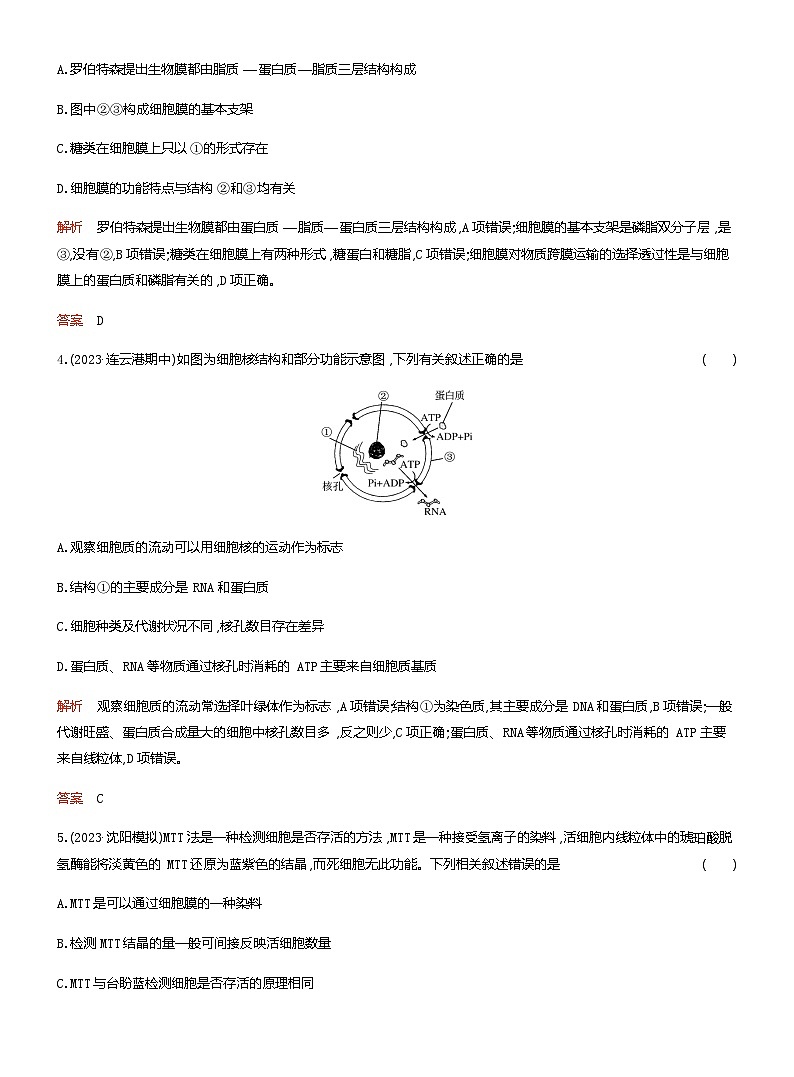 2024届人教版高考生物一轮复习细胞膜与细胞核作业（不定项）含答案02