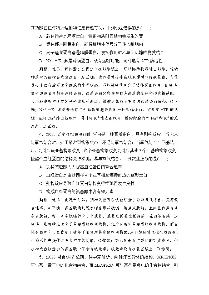 2024届人教版高考生物一轮复习蛋白质和核酸作业（多项版）含答案第2页