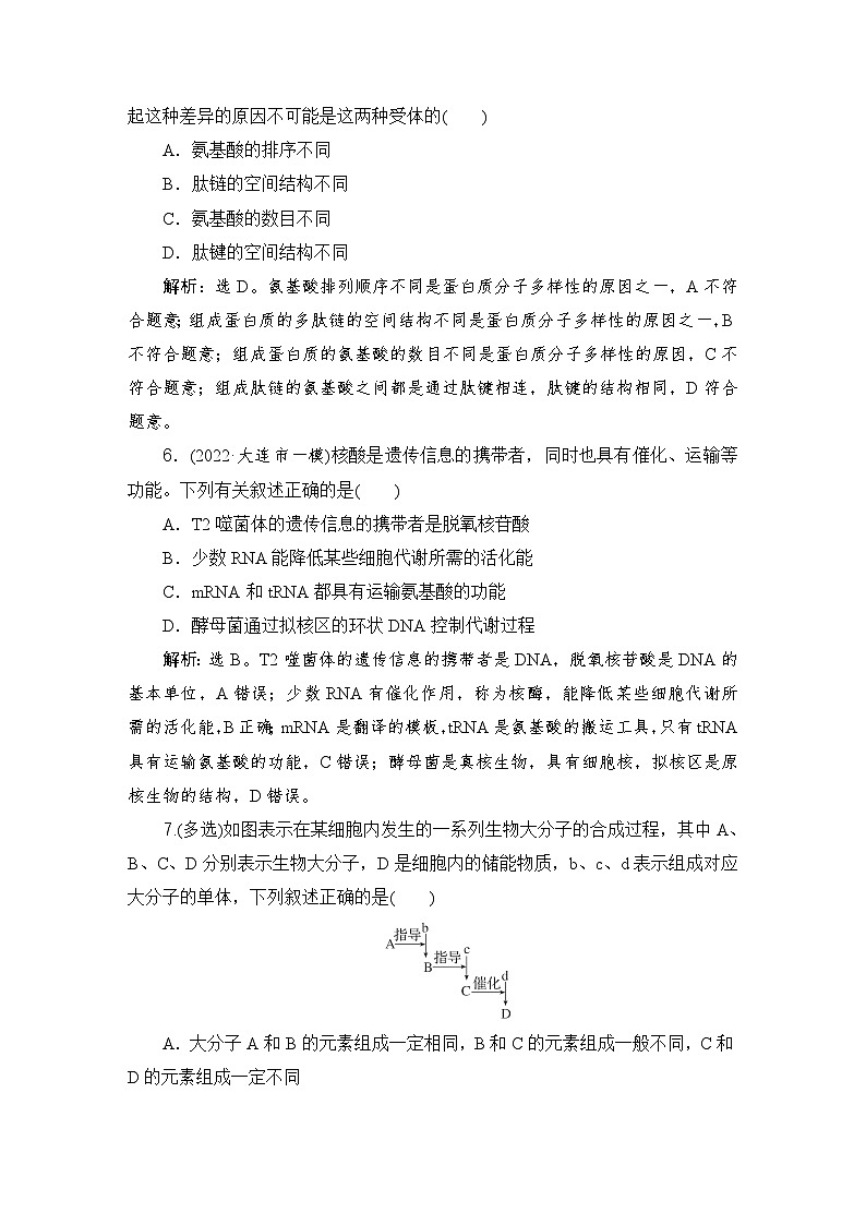 2024届人教版高考生物一轮复习蛋白质和核酸作业（多项版）含答案第3页
