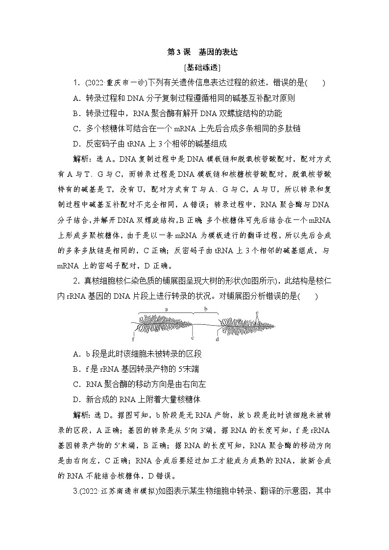 2024届人教版高考生物一轮复习基因的表达作业（多项版）含答案01